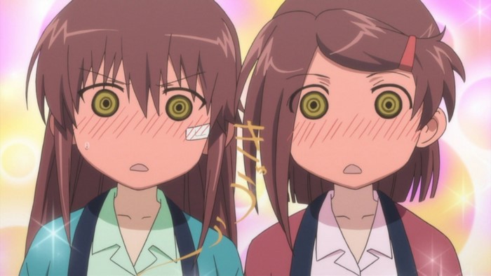 Suminoe Ako and Suminoe Riko from Kiss x Sis