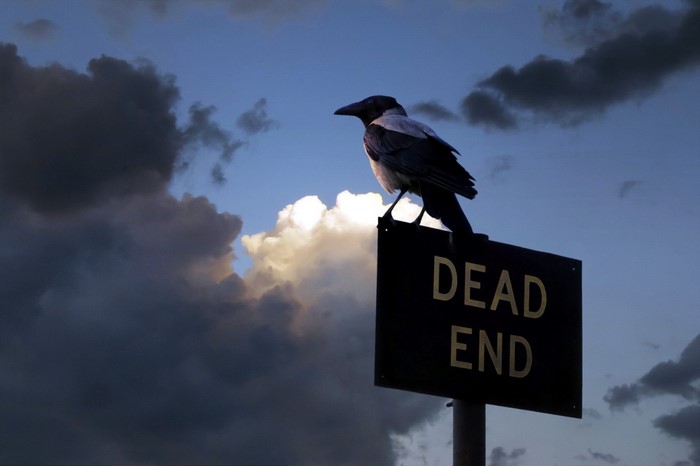 Crow on a Dead End sign against a cloudy sky