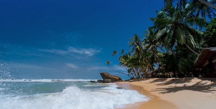 Tropical beach with palm trees and ocean waves
