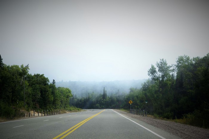 Road through a misty forest in Canada