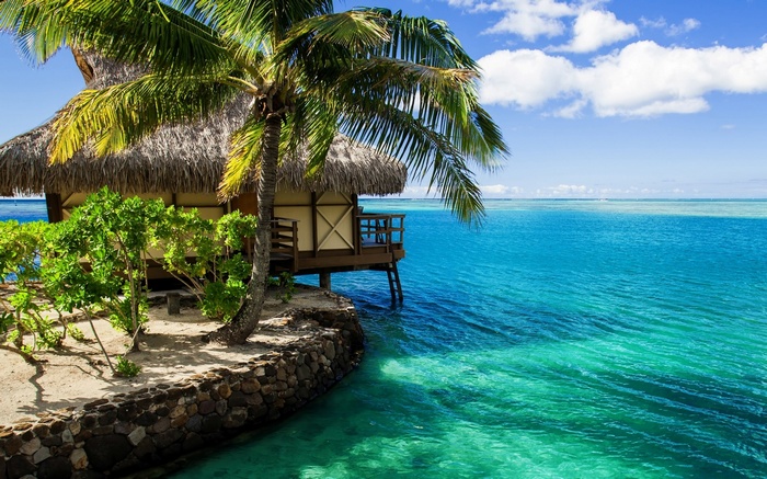 Overwater bungalow with palm tree and turquoise ocean