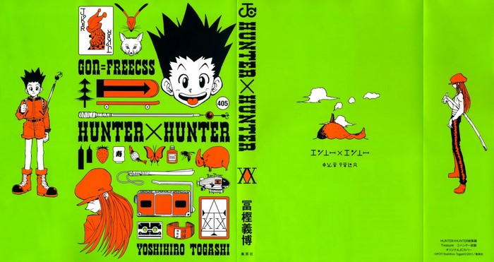 Hunter x Hunter Gon Freecss and Illumi Zoldyck Illustration