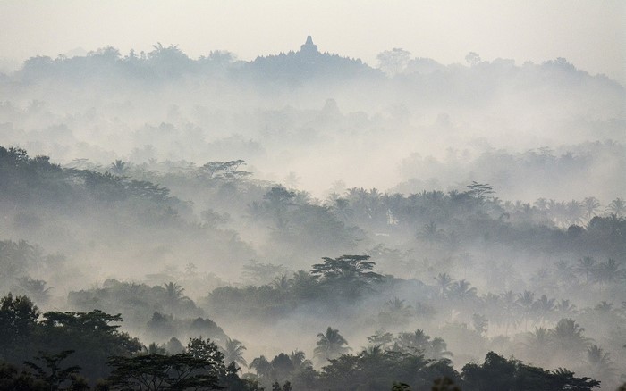 Borobudur Temple in misty tropical forest at sunrise