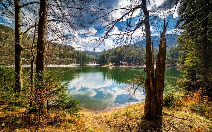 Lake reflection in a forest with mountains and clouds