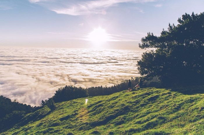 People on a grassy hill above clouds at sunset