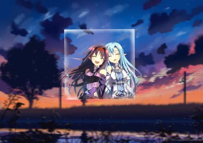 Asuna and Yuuki from Sword Art Online