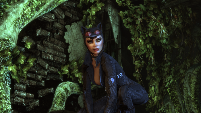 Catwoman from Batman: Arkham City