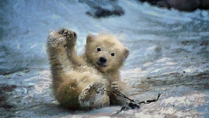 Playful Baby Polar Bear in Snowy Landscape