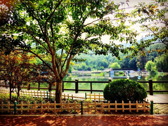 Park with a lake and a bridge