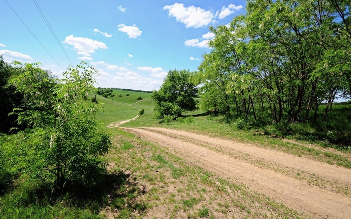 Dirt road through green hills and trees