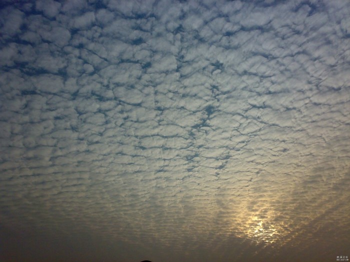 Altocumulus clouds at sunset with sunbeams