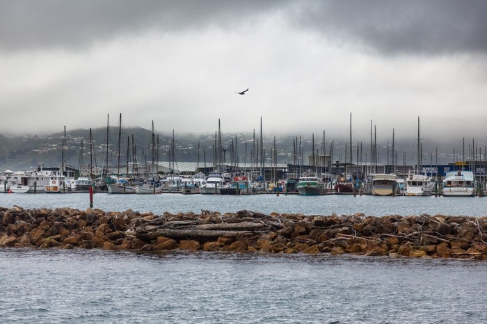 Boats docked in a harbor under a cloudy sky