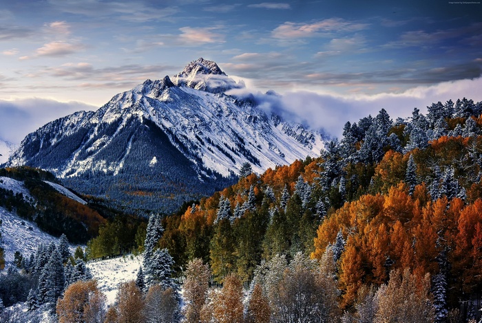 Mount Sneffels in Winter with Autumn Trees