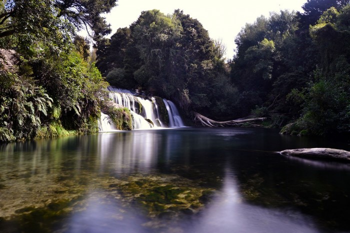Waterfall in a lush forest with a reflective river