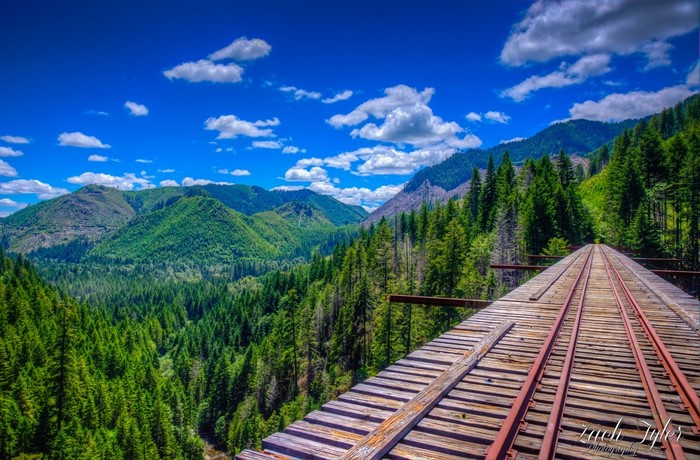 Vance Creek Bridge, Washington State Landscape