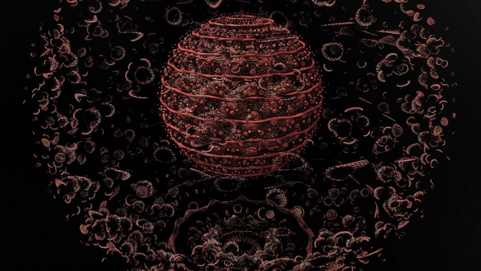 3D fractal sphere with surrounding organic shapes