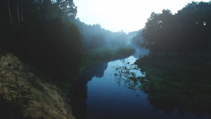 Misty river flowing through a dark forest at dawn