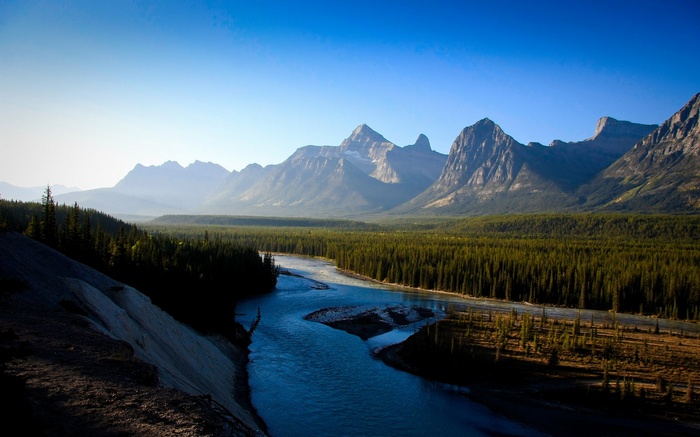 River flowing through a valley with pine forest and mountains