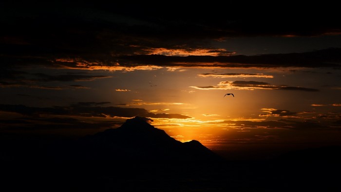 Silhouette of mountains against a sunset with a bird flying