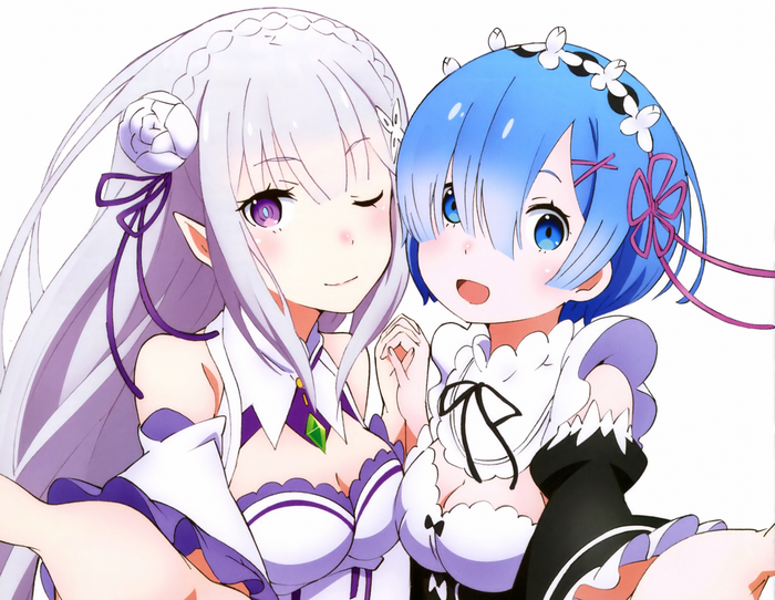 Emilia and Rem from Re: Zero