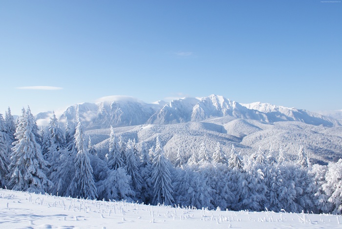 Snow-covered mountains and forest in winter