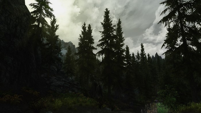 The Elder Scrolls V Skyrim forest landscape with mountains