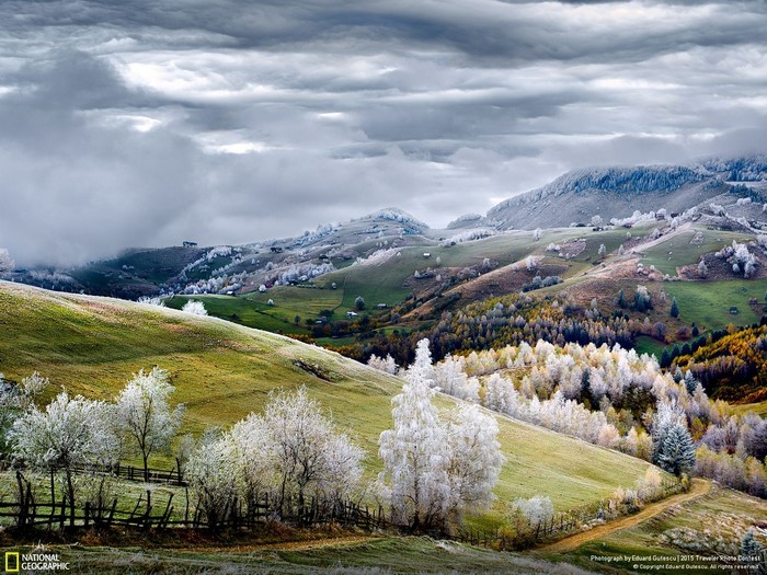 Frosty trees and rolling hills under cloudy sky