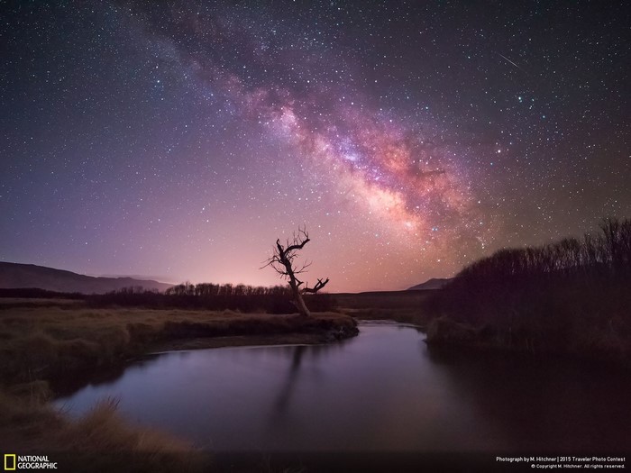 Milky Way over a lone tree and river