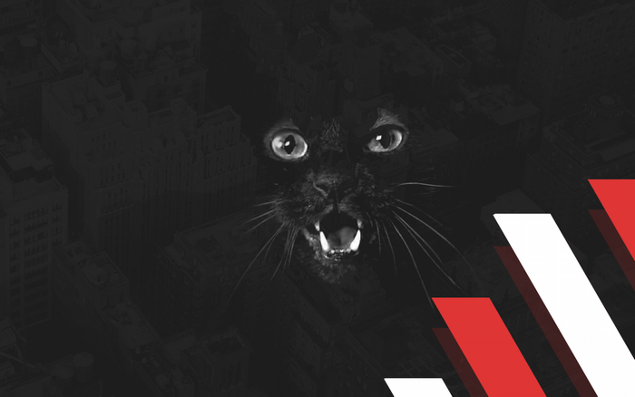 Black cat with open mouth in dark city