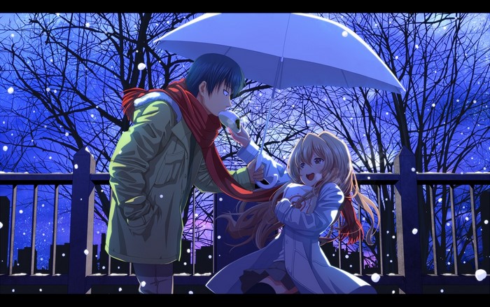 Aisaka Taiga and Takasu Ryuuji from Toradora under an umbrella in the snow