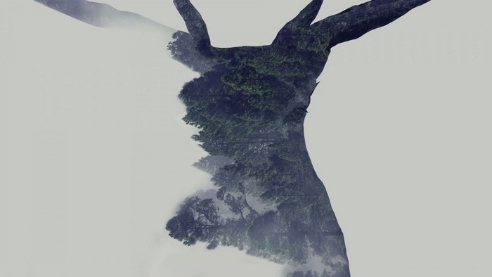 Double exposure of a tree and a forest