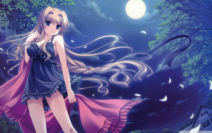 Anime girl with long blonde hair under the moon