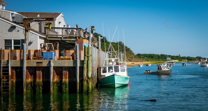 Boats docked at a harbor with a building and people on a sunny day.