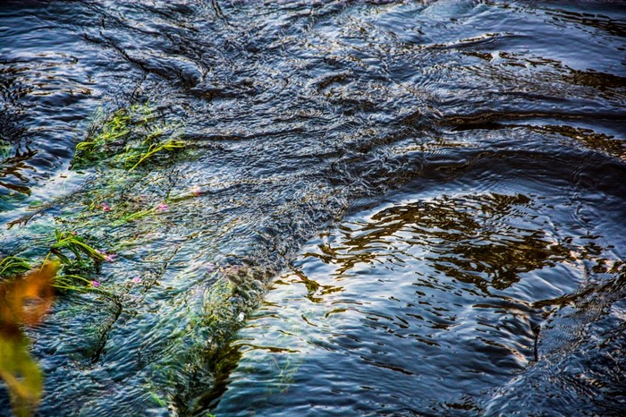 Water flowing over rocks with green plants