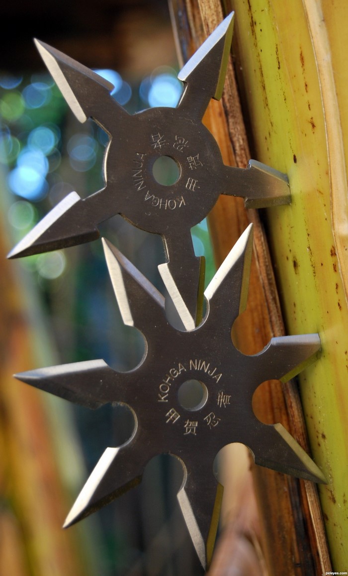 Two shuriken weapons on a banana tree trunk