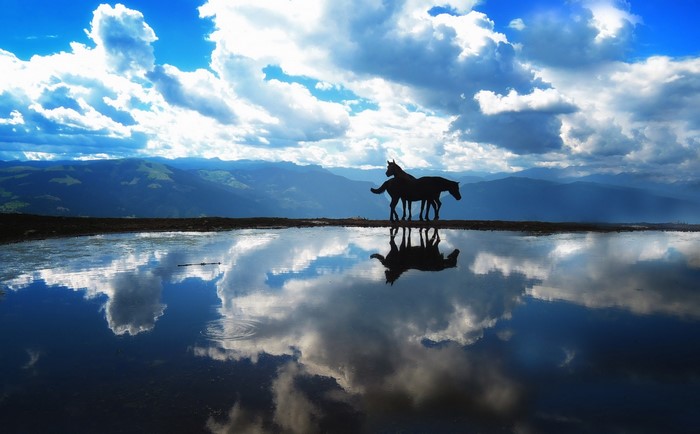 Two horses silhouetted by a mountain lake under a cloudy sky