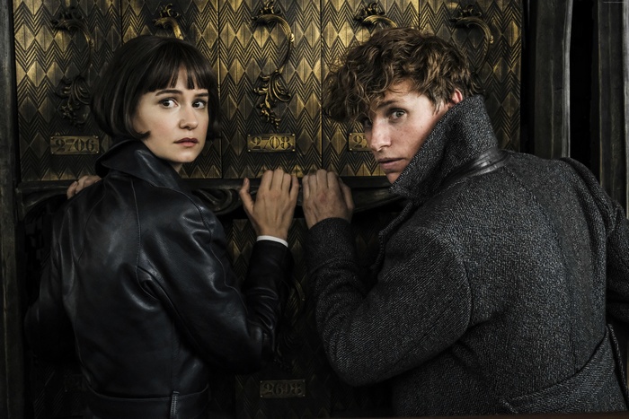 Katherine Waterston and Eddie Redmayne from Fantastic Beasts