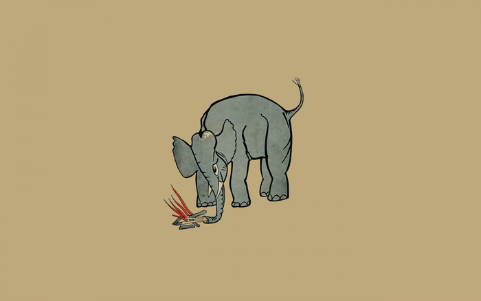 Elephant with campfire illustration