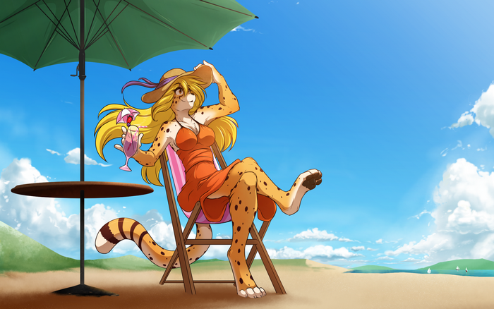Cheetah furry enjoying a drink on the beach