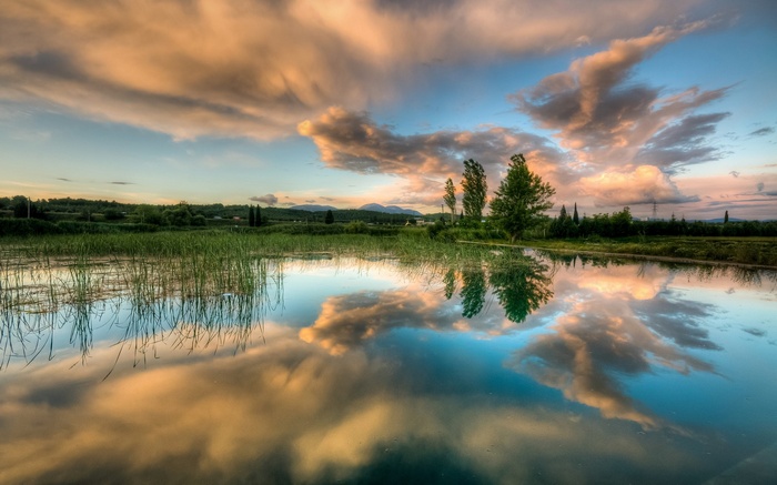 Sunset clouds reflected in a calm body of water with reeds