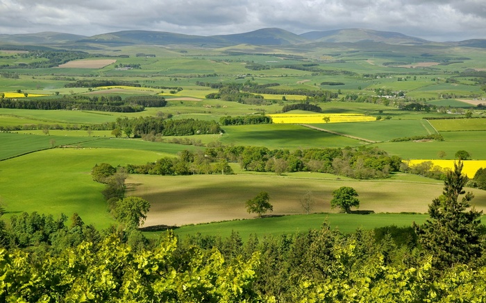 Rolling green hills and fields under a cloudy sky