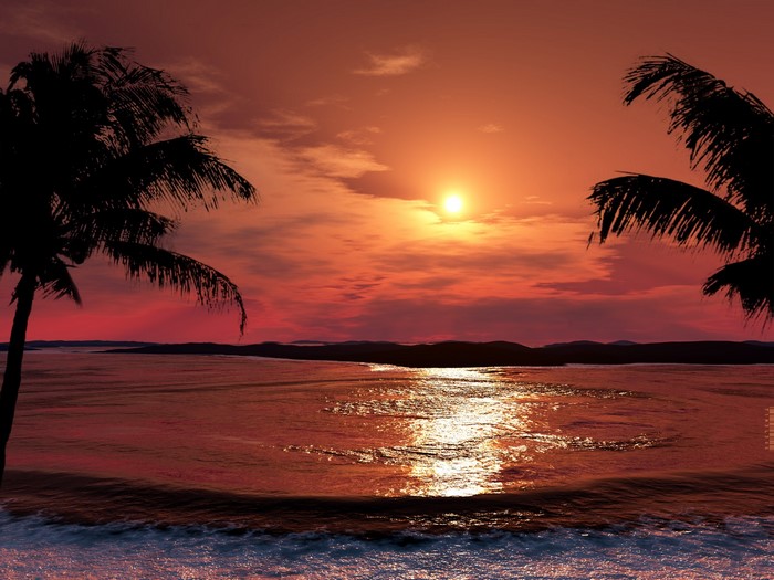 Sunset over the ocean with palm trees