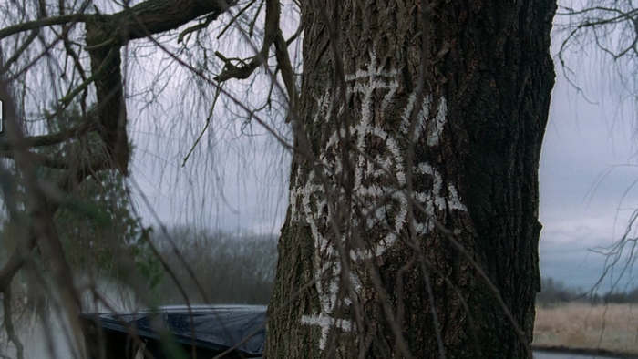 The X-Files symbols painted on a tree trunk