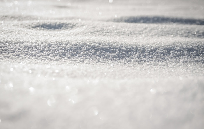Close-up of snow with sunlight