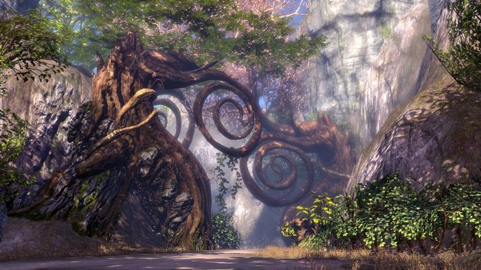 Fantasy forest with ancient trees and rocky cliffs