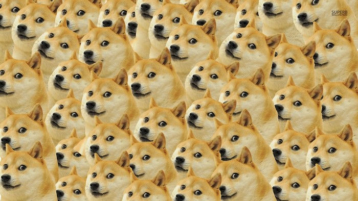 Doge memes with many dog faces