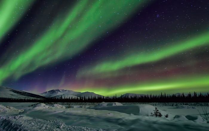 Aurora Borealis over snowy mountains and forest