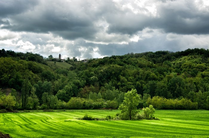 Green field with rolling hills and a village in the distance