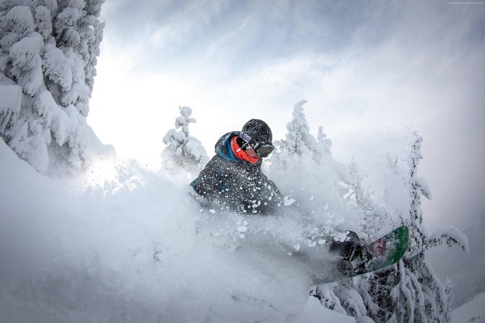 Snowboarder riding through powder snow near snow-covered trees