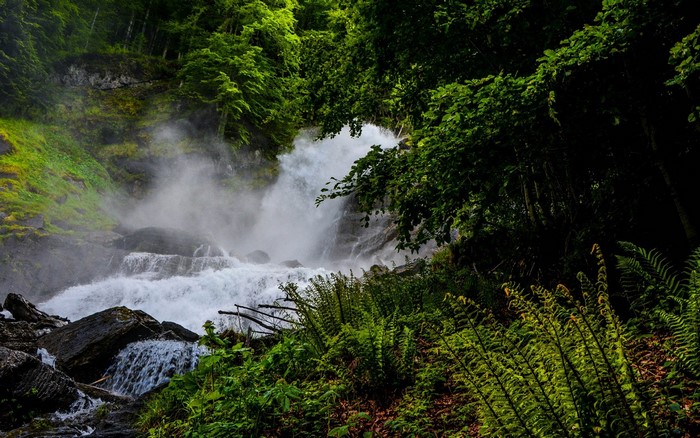 Waterfall cascading through a dense green forest